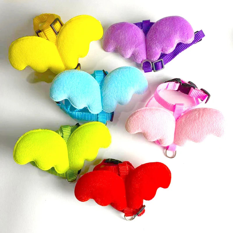 Kitty Pop Angel Wings & Harness
